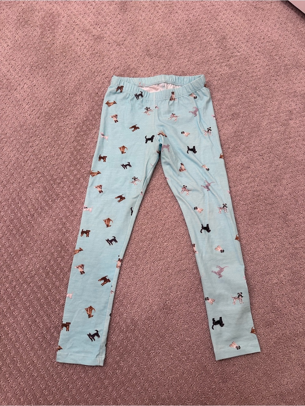 Janie and Jack Girls Dog Print Leggings – Light Blue – Size 6